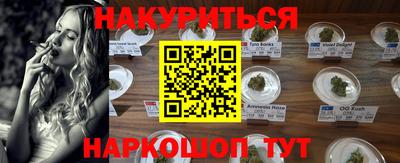 Альфа ПВП Новозыбков