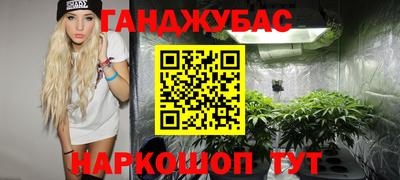 Альфа ПВП Новозыбков