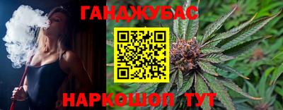 Альфа ПВП Новозыбков