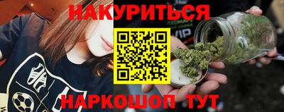 Альфа ПВП Новозыбков