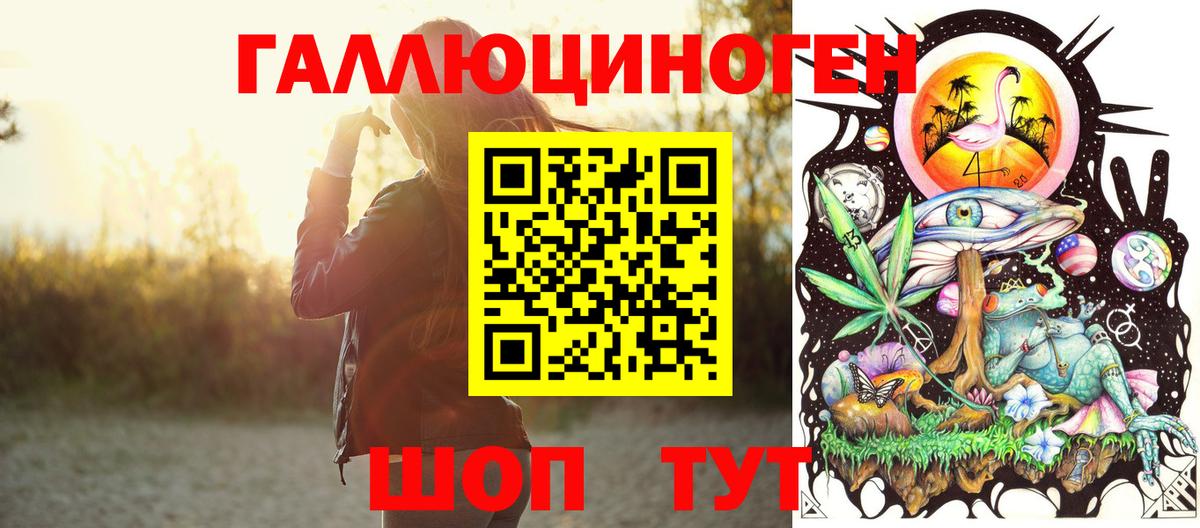Галлюциногенные грибы Psilocybe  наркотики  Искитим  Вход с VPN  Псилоцибиновые грибы мицелий 
