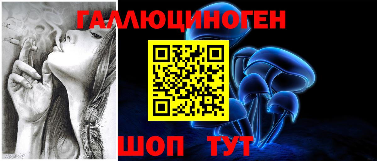 Галлюциногенные грибы Cubensis Искитим